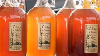 氣泡型酒精飲料檸檬堂 日本啤酒業(yè)的新勁敵與酒精飲料市場變革