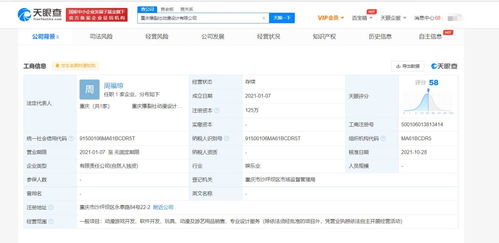 重慶軟件開發(fā) 西部創(chuàng)新高地與產(chǎn)業(yè)轉(zhuǎn)型升級的引擎
